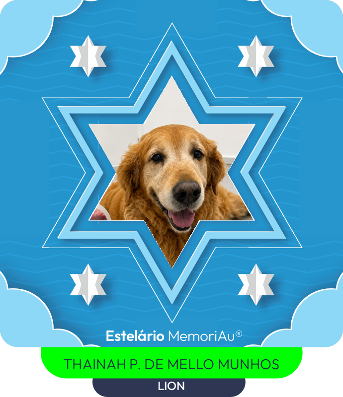 Estrela em homenagem a LION