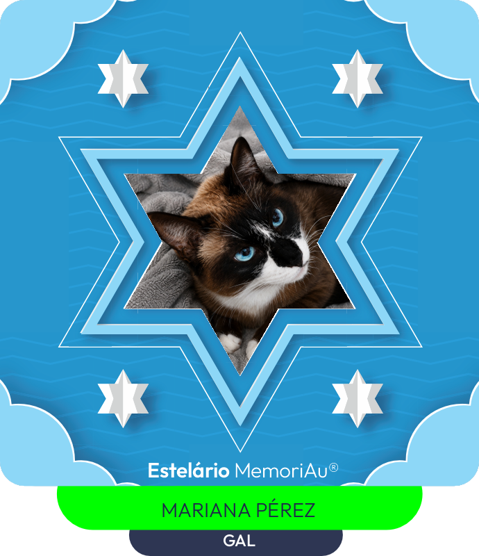Estrela em homenagem a GAL