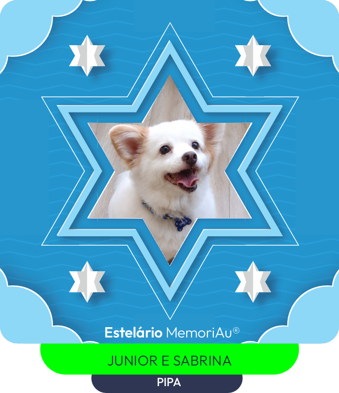 Estrela em homenagem a PIPA