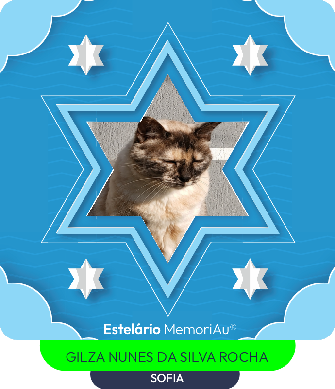 Estrela em homenagem a SOFIA
