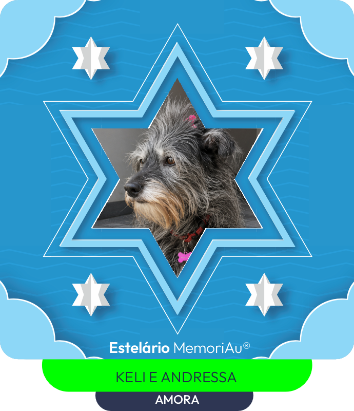 Estrela em homenagem a AMORA
