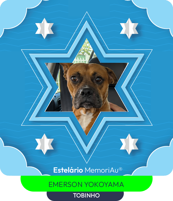 Estrela em homenagem a TOBINHO
