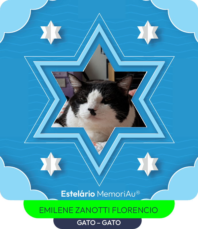 Estrela em homenagem a GATO – GATO