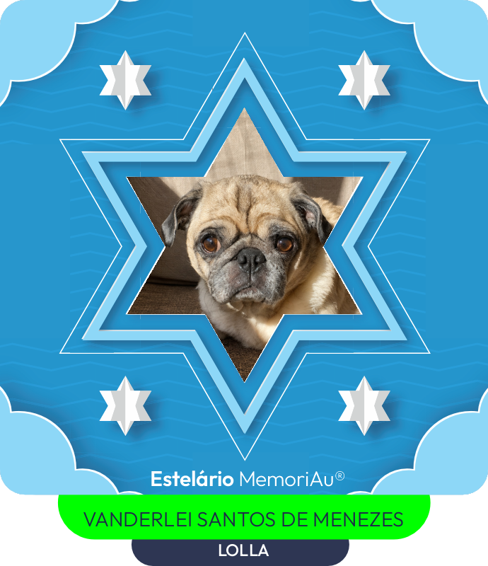 Estrela em homenagem a LOLLA