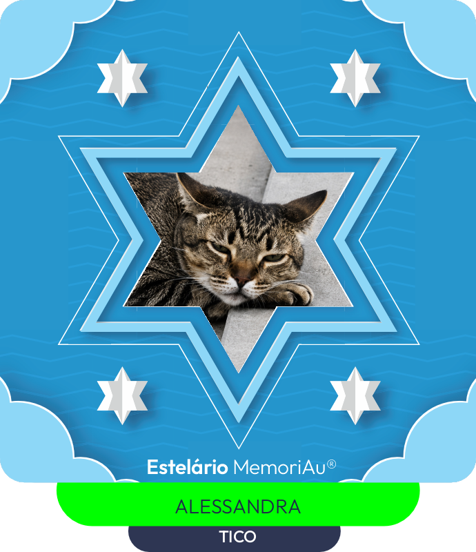 Estrela em homenagem a TICO