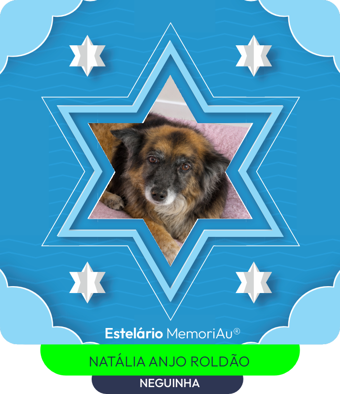 Estrela em homenagem a NEGUINHA