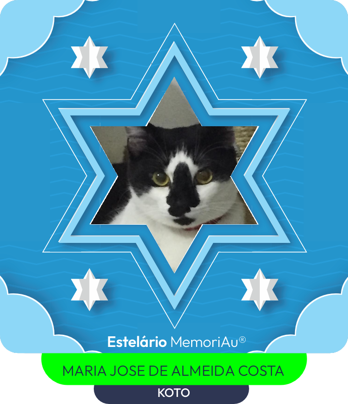 Estrela em homenagem a KOTO