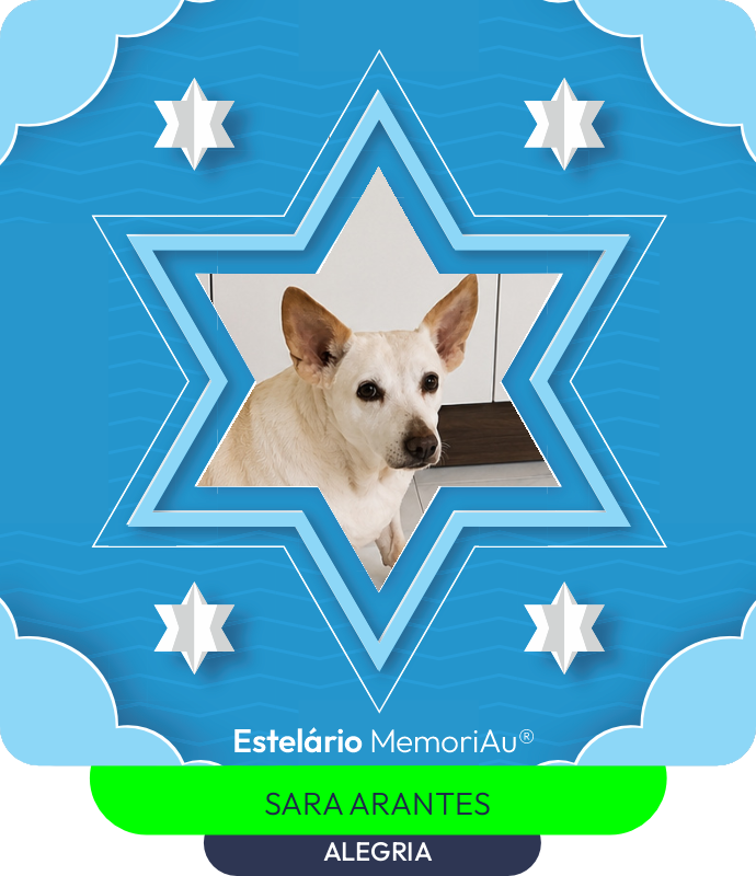 Estrela em homenagem a ALEGRIA
