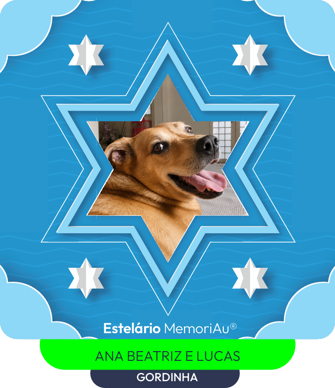 Estrela em homenagem a GORDINHA