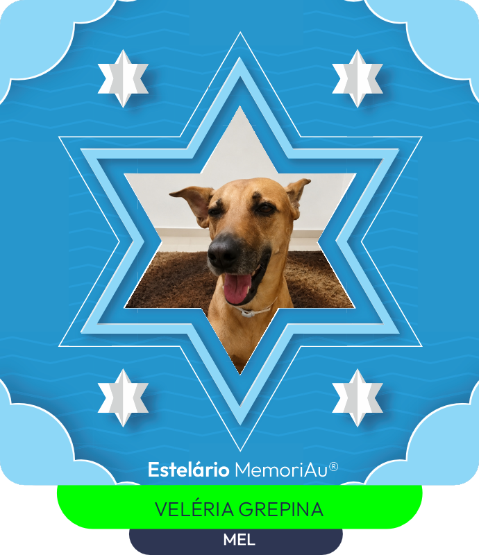 Estrela em homenagem a MEL