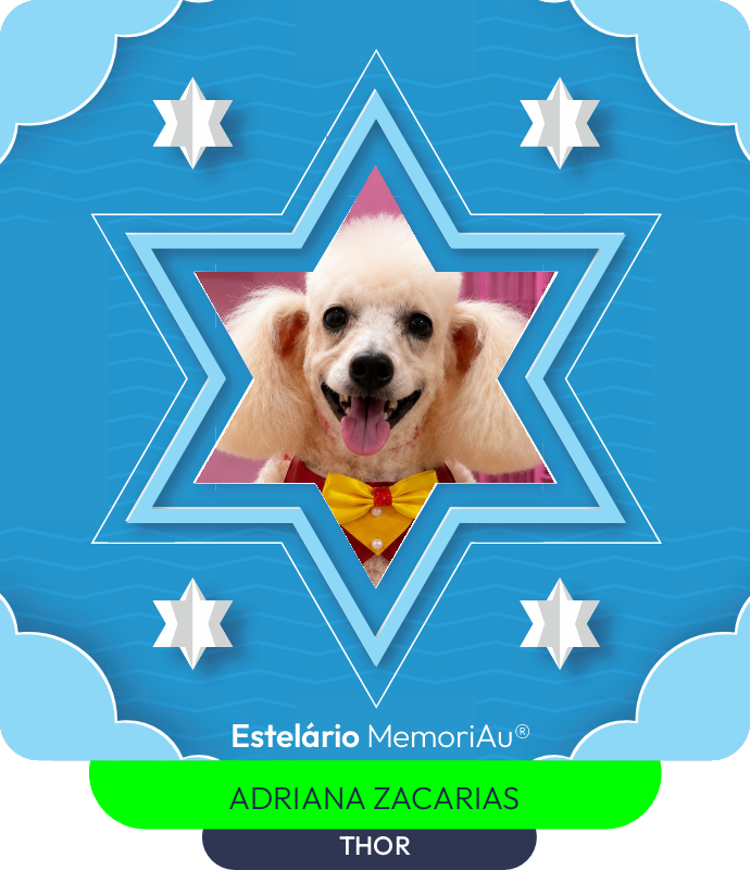 Estrela em homenagem a THOR