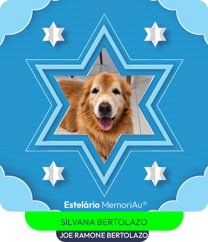 Estrela em homenagem a JOE RAMONE BERTOLAZO