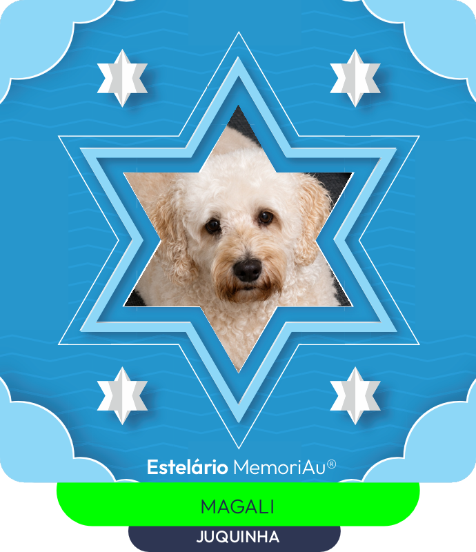 Estrela em homenagem a JUQUINHA