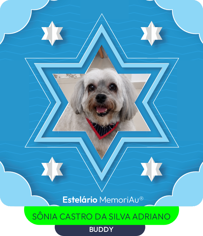 Estrela em homenagem a BUDDY