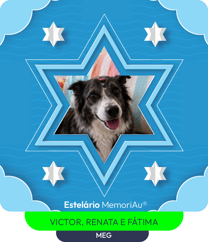 Estrela em homenagem a MEG