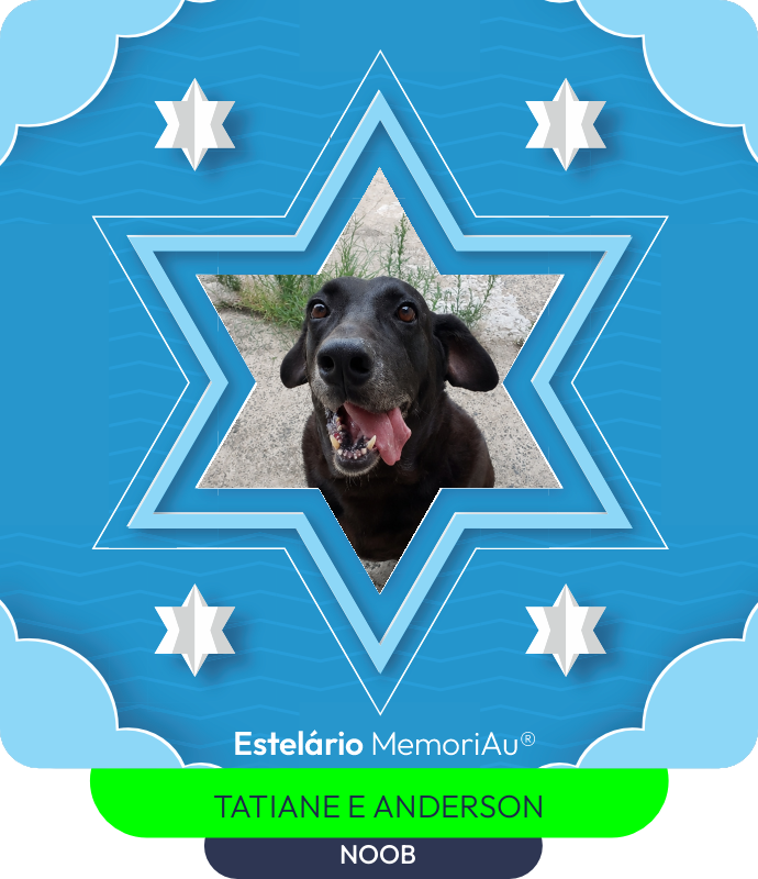 Estrela em homenagem a NOOB