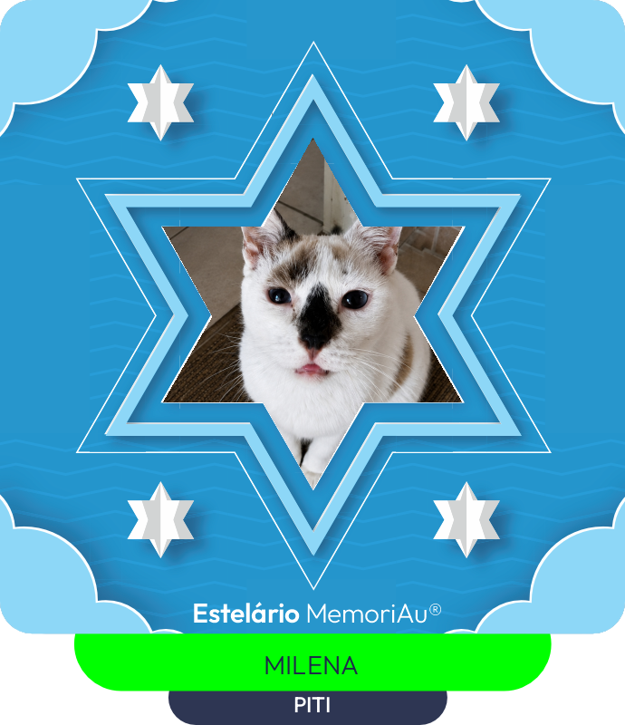 Estrela em homenagem a PITI