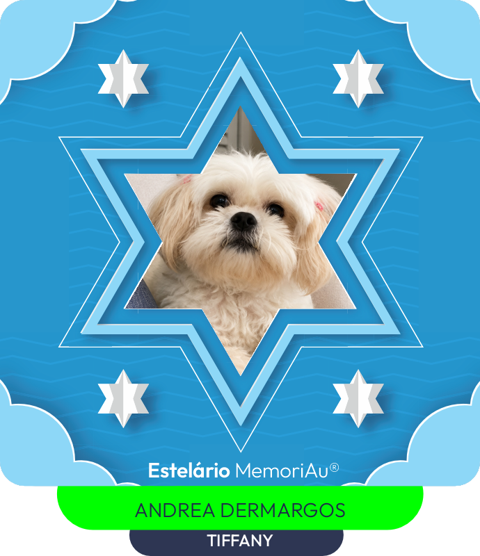 Estrela em homenagem a TIFFANY