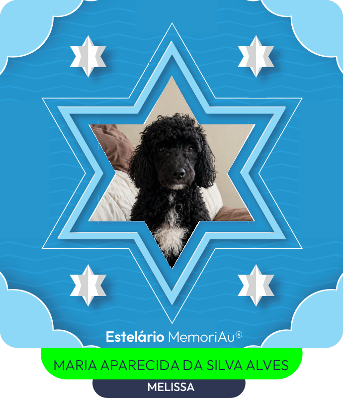 Estrela em homenagem a MELISSA