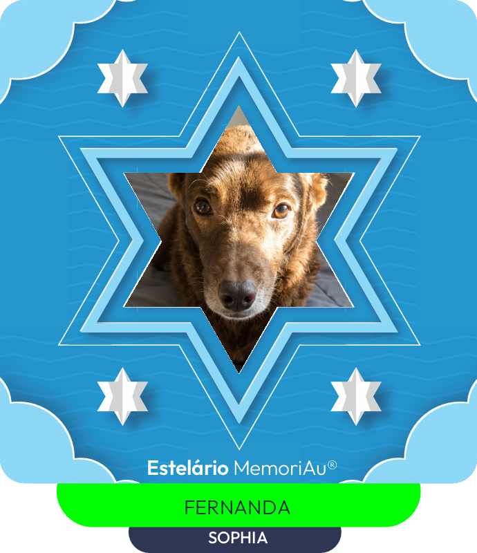 Estrela em homenagem a SOPHIA