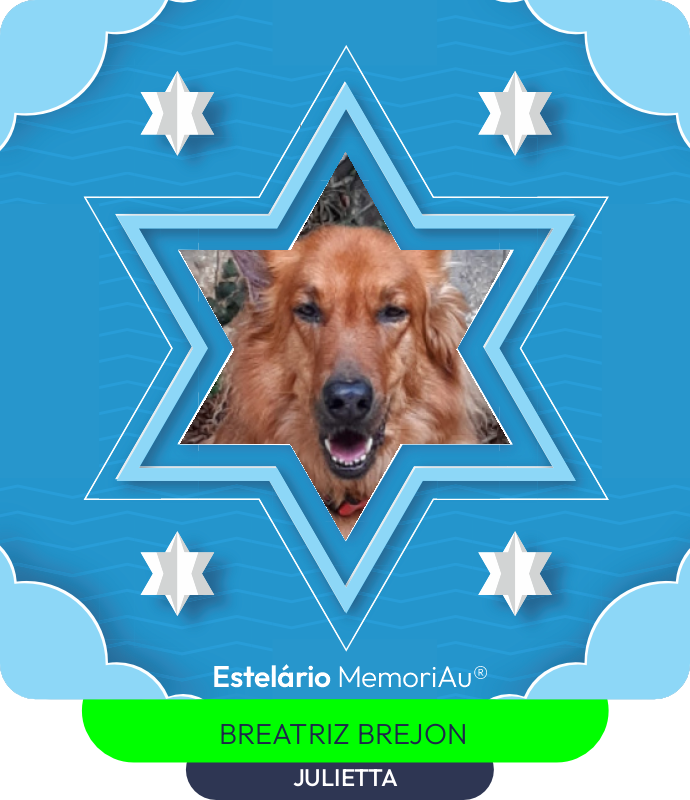 Estrela em homenagem a JULIETTA