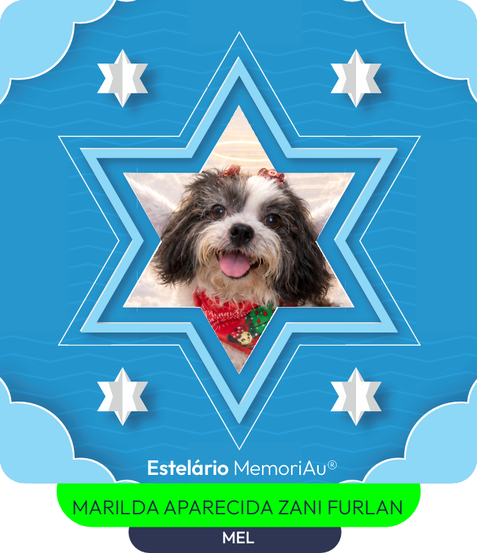 Estrela em homenagem a MEL