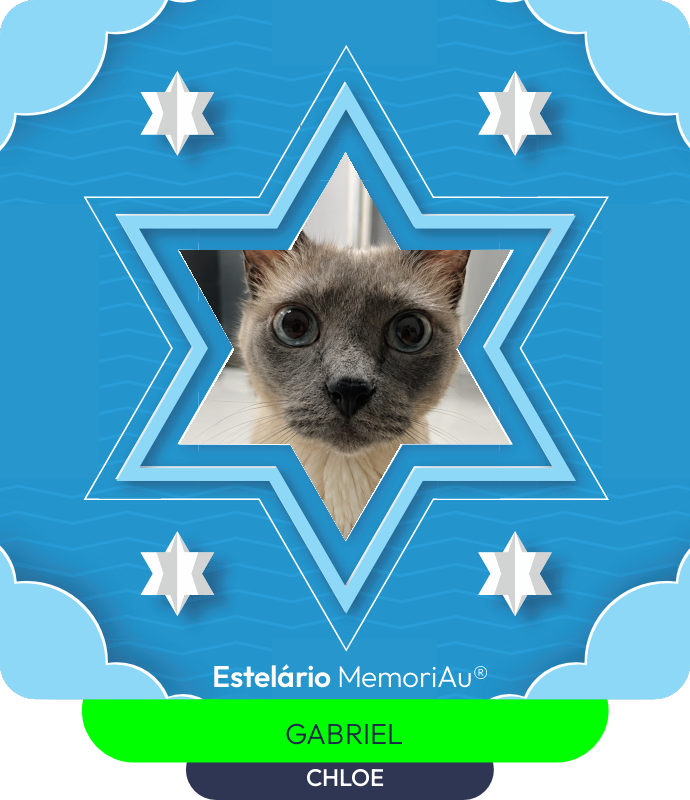 Estrela em homenagem a CHLOE