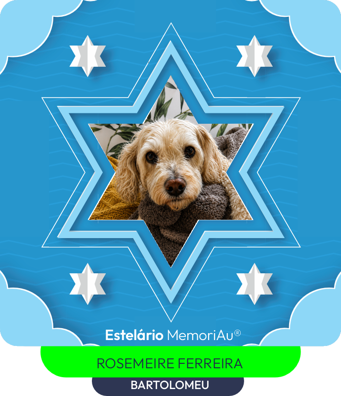 Estrela em homenagem a BARTOLOMEU