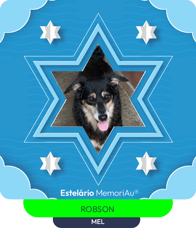 Estrela em homenagem a MEL