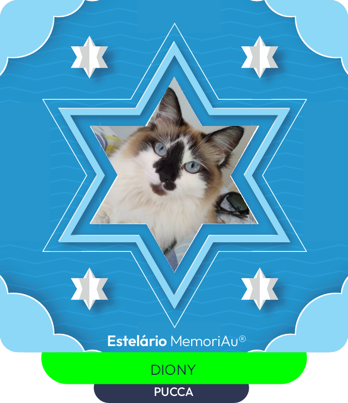 Estrela em homenagem a PUCCA