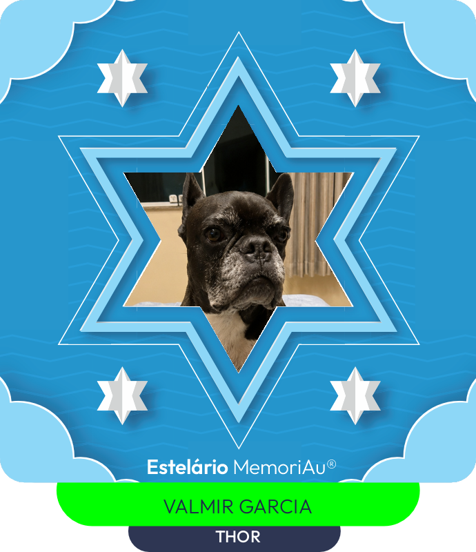 Estrela em homenagem a THOR