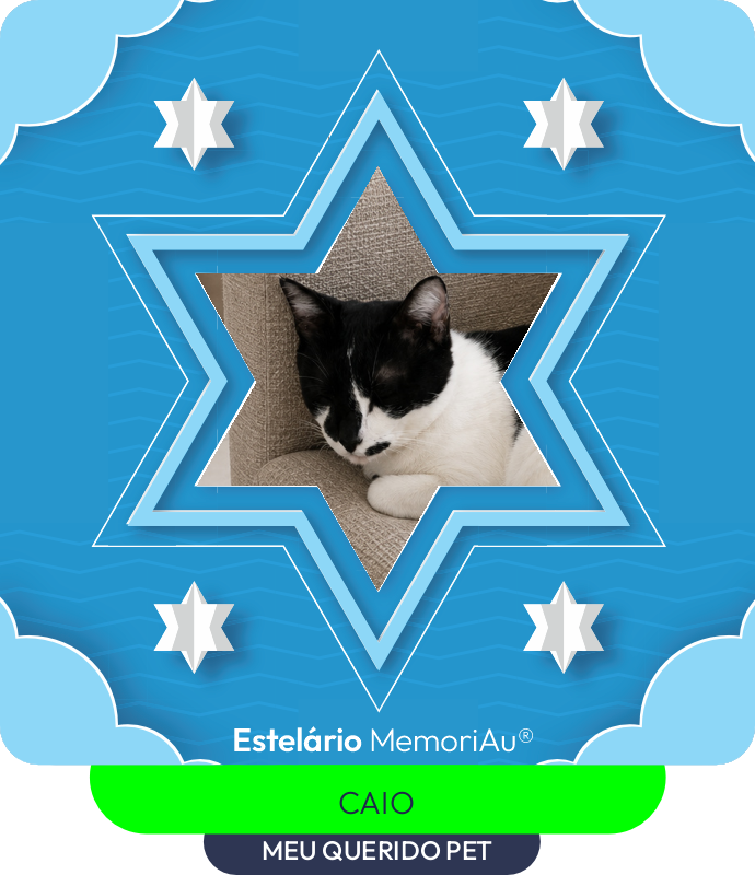 Estrela em homenagem a MEU QUERIDO PET