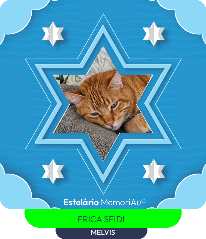 Estrela em homenagem a MELVIS