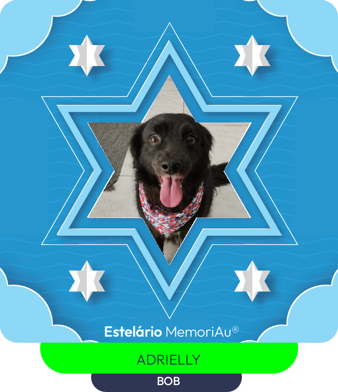 Estrela em homenagem a BOB