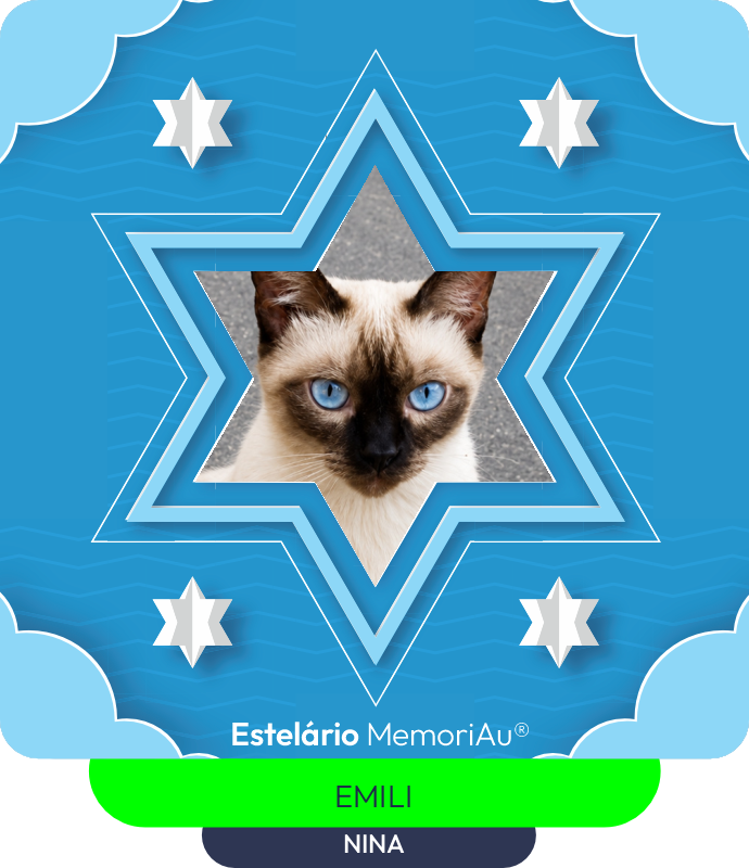 Estrela em homenagem a NINA