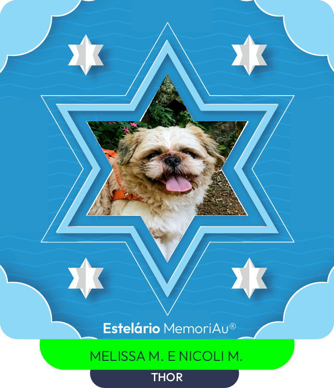 Estrela em homenagem a THOR