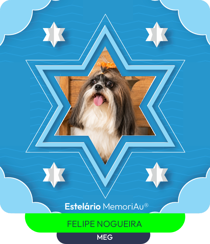 Estrela em homenagem a MEG