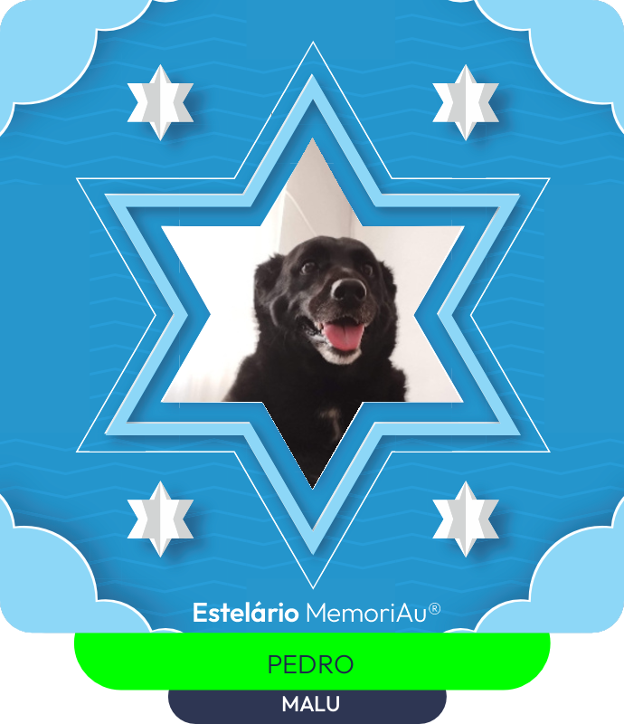 Estrela em homenagem a MALU