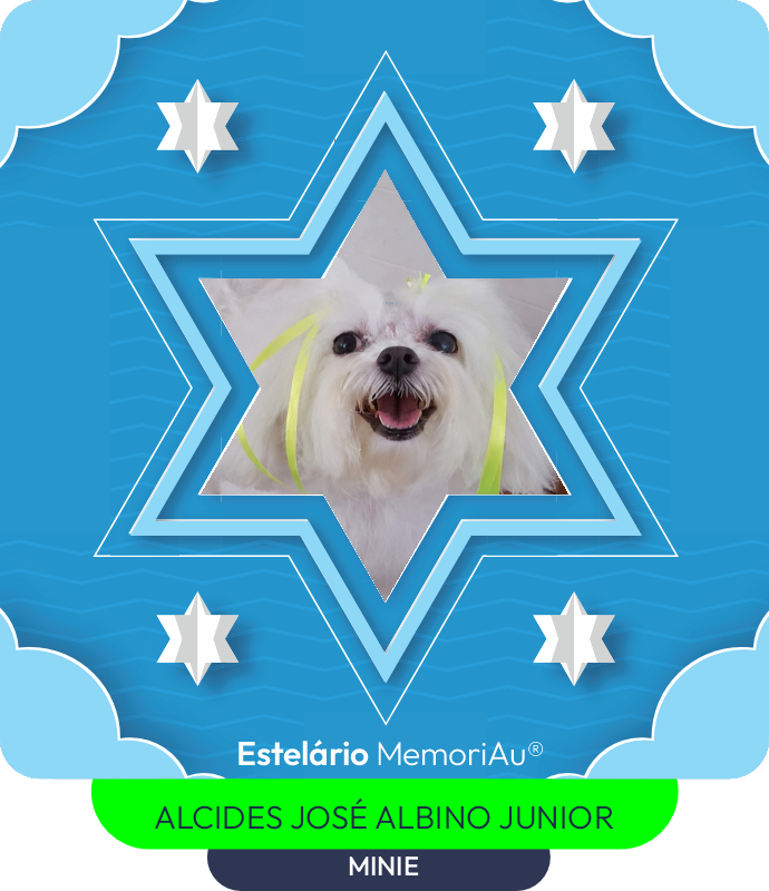 Estrela em homenagem a MINIE