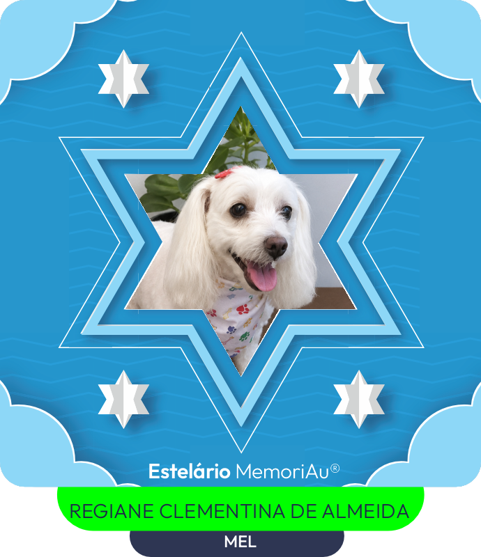 Estrela em homenagem a MEL