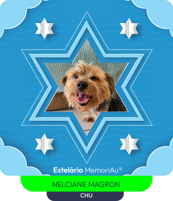 Estrela em homenagem a CHU
