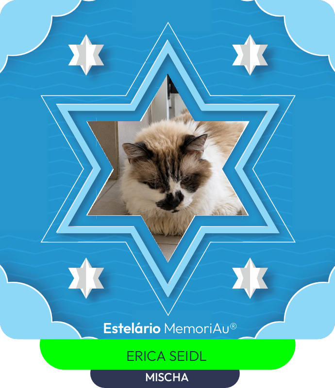 Estrela em homenagem a MISCHA