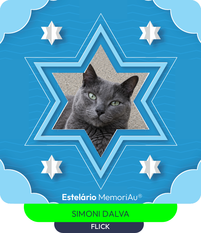 Estrela em homenagem a FLICK