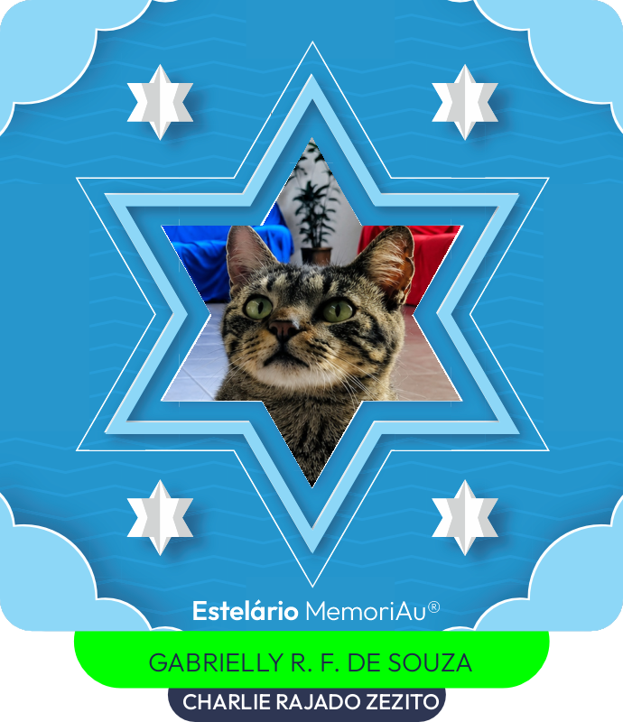 Estrela em homenagem a CHARLIE RAJADO ZEZITO