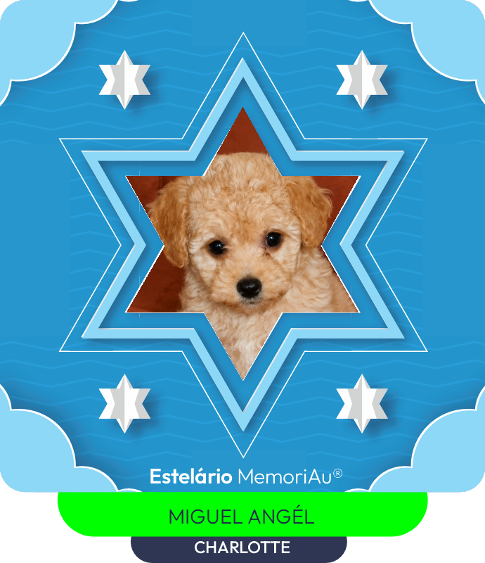 Estrela em homenagem a CHARLOTTE