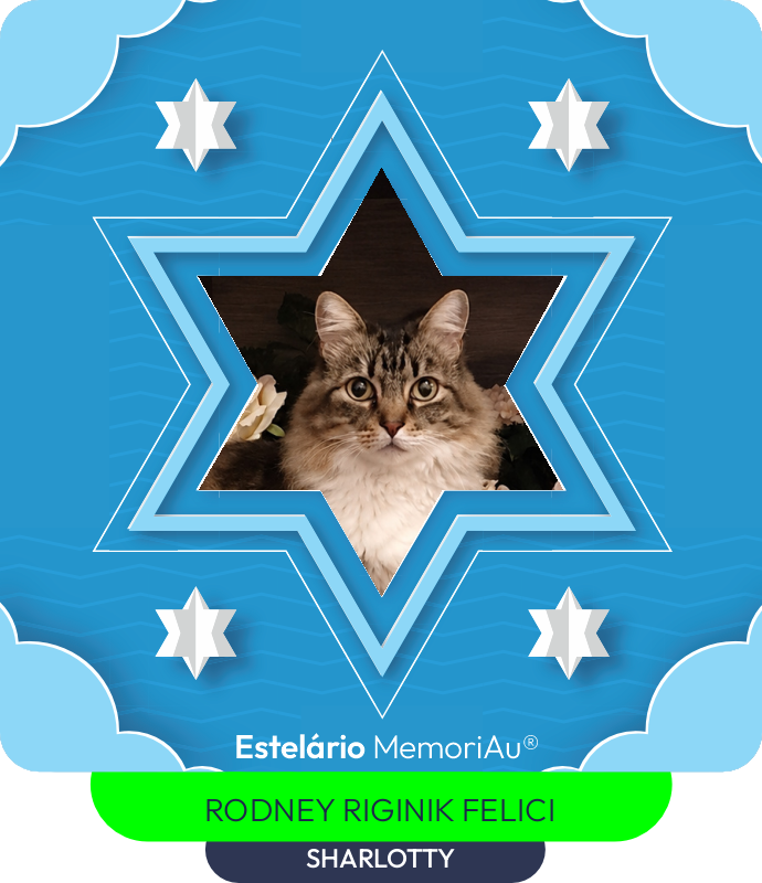 Estrela em homenagem a SHARLOTTY