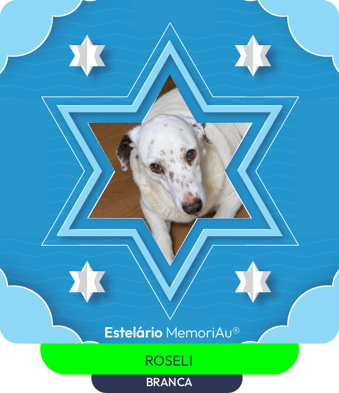 Estrela em homenagem a BRANCA