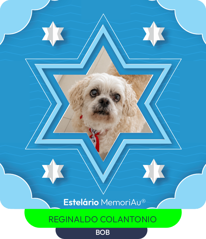 Estrela em homenagem a BOB