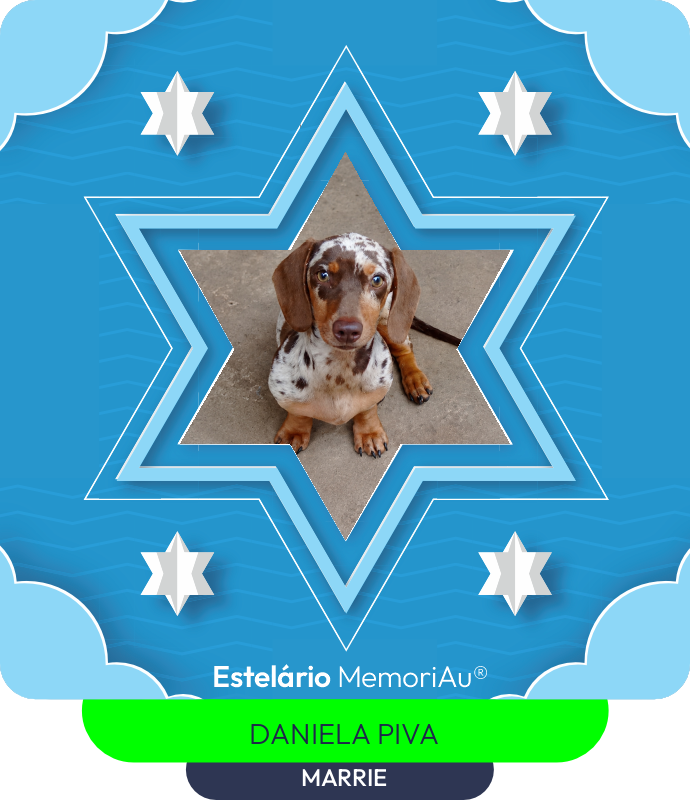 Estrela em homenagem a MARRIE