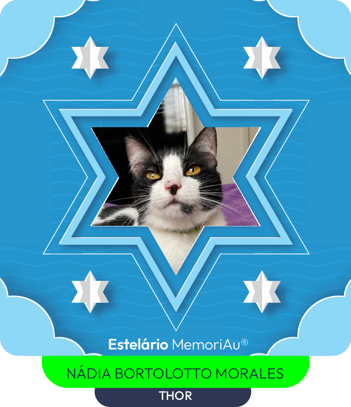Estrela em homenagem a THOR